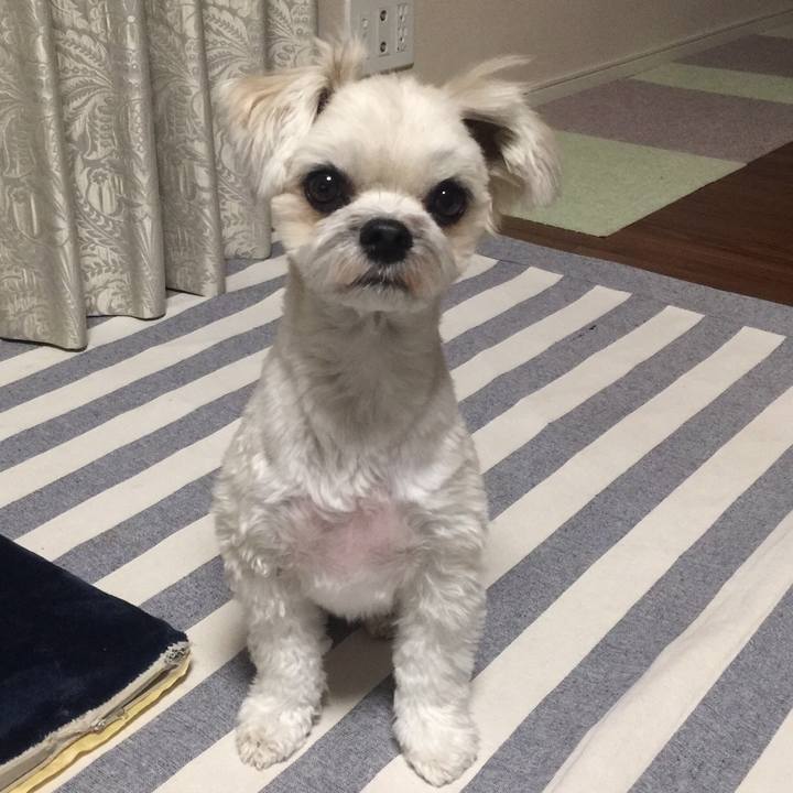 52a05899 2c0a 49fa 8e96 3990c0f00c59 1517483253326