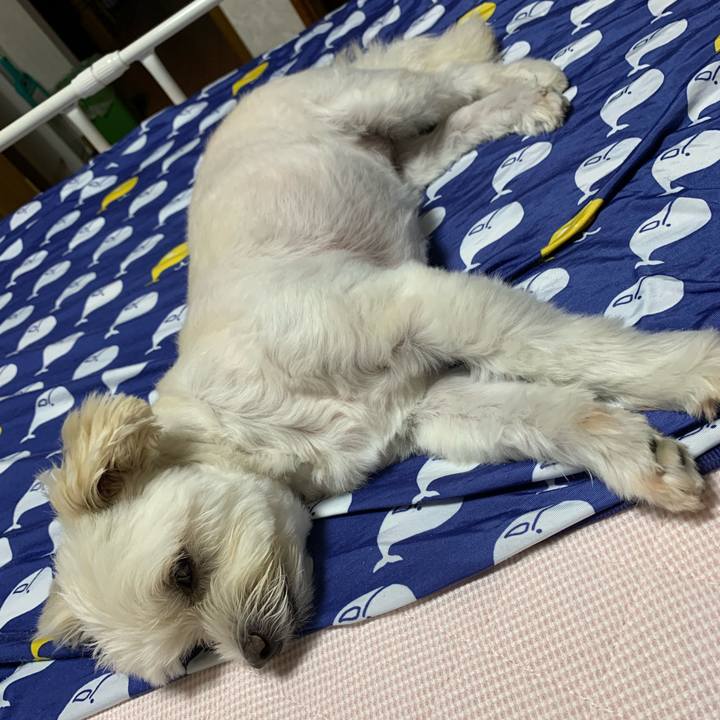 52a06e2e a058 4934 a622 e079c763cef4 1630676921254