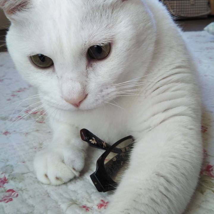 52a071a8 b961 4052 9827 4d4b0051d87b 1600094649935