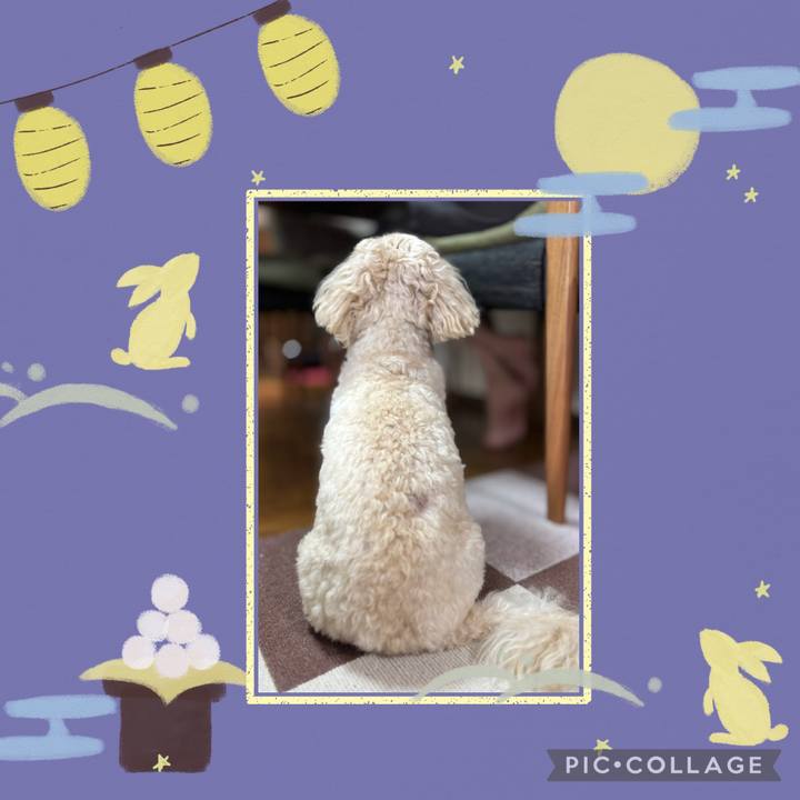 52a0aae5 f282 40ec a10c 3a05edcecb73 1759741358853