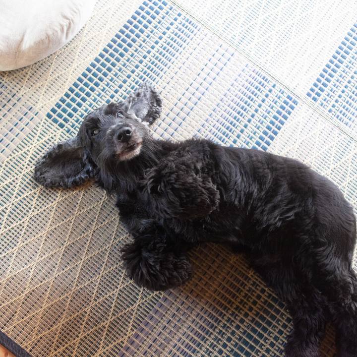 52a0b07a 5e05 4ac6 97a7 389cb219d5ba 1569811940955