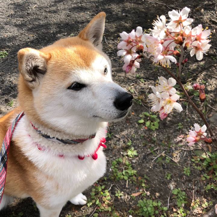 52a0d005 25d8 4222 bff6 422a1c626aab 1710854854584