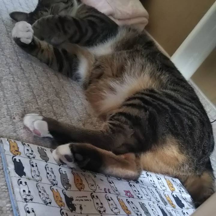 52a11508 98fb 4bdd 9117 0b4e1c8fd5f7 1618993410508