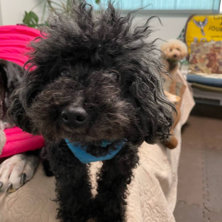 52a136a4 ef2a 47c9 8f69 6178011f5cd7 1637534988136