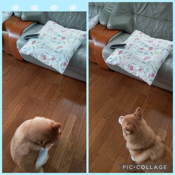 52a18587 31de 4e82 a36f 1623a521aa2d 1758782060797