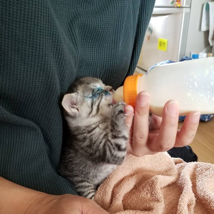 52a18ac7 423a 4139 8837 010ea766d67b 1660174721556