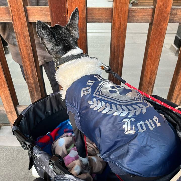 52a1a7ad de71 4a9c aa15 bb83c5c3a93b 1642846233347