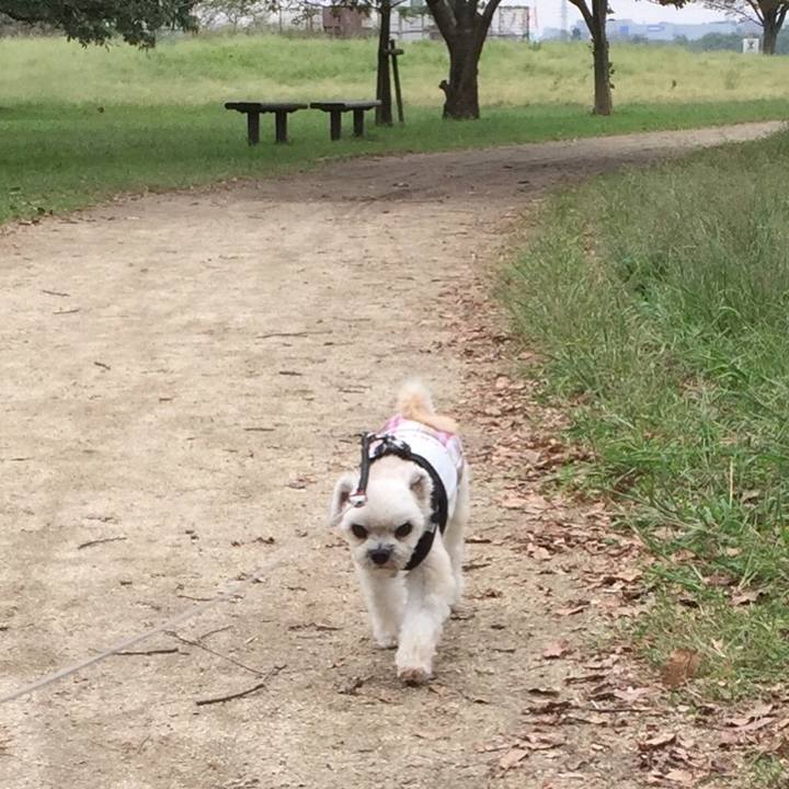 52a1be43 6cad 45a4 91f8 4e68354db19a 1539604294855