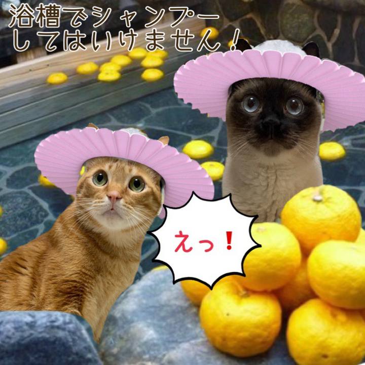 52a1d394 7375 4be7 960d 2c4722a2640e 1608513192377