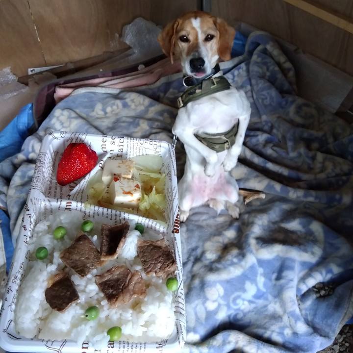 52a1df7b 0f6e 4ccc 8283 e3ae33e35de8 1683544144738