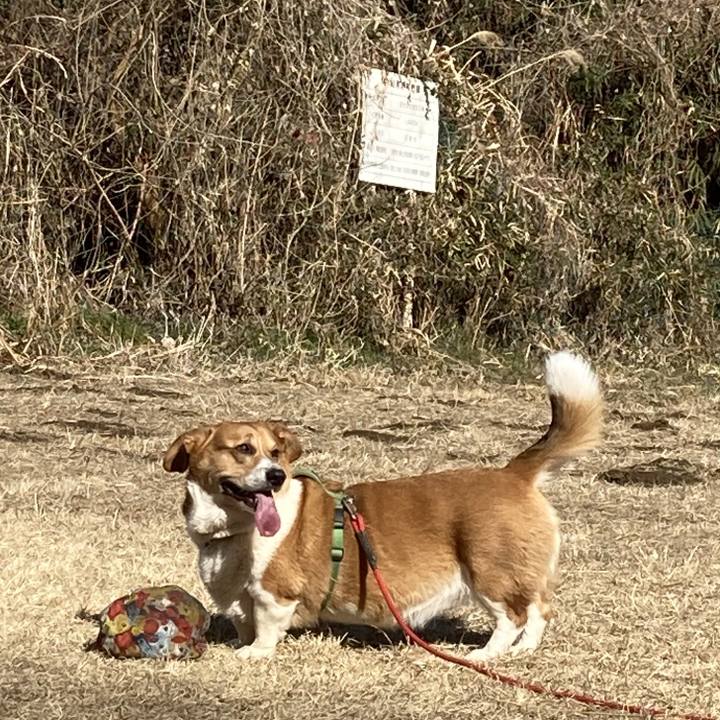 52a1e24d 56c2 451d a874 faf32c735757 1738813361975