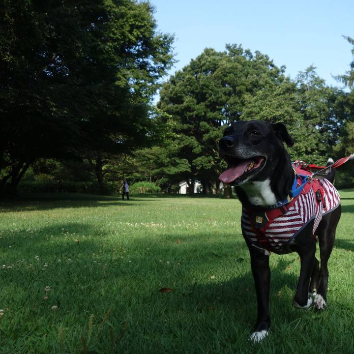 52a22b0b fcac 4b85 81af e13f2b8f65f1 1689812982853