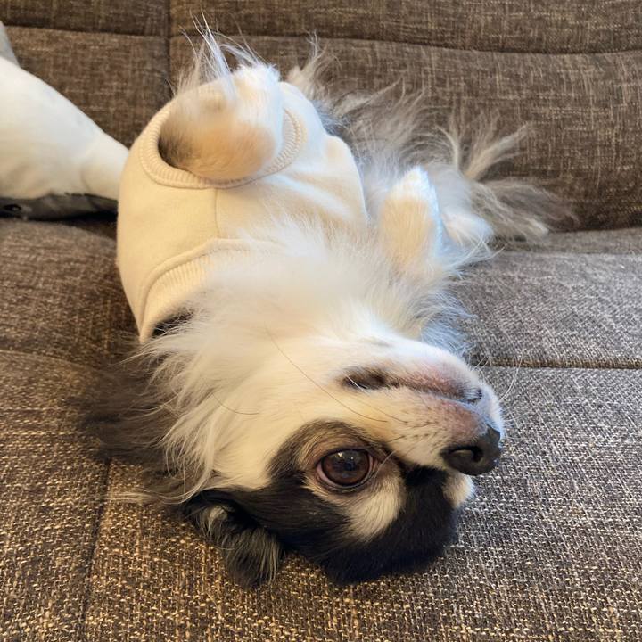 52a24bda 40e2 4bbc 99d1 335323e3c4b3 1707578172400