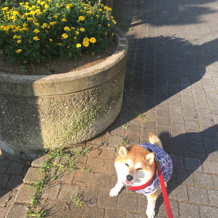 52a27f09 9c4a 4bef b911 cf7b631c2bda 1597272485913