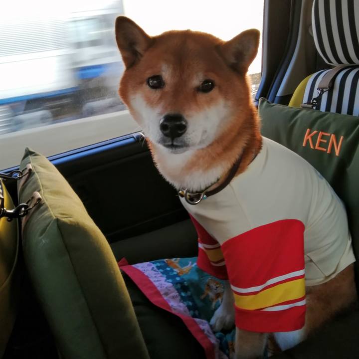 52a29bbd 070a 4293 9d15 bbc204b55056 1616840086368