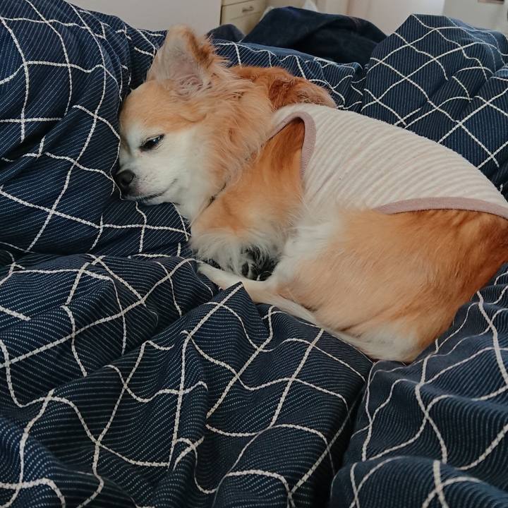 52a2b2a7 9eef 4506 80fc 02a4d65aadc0 1571824700959