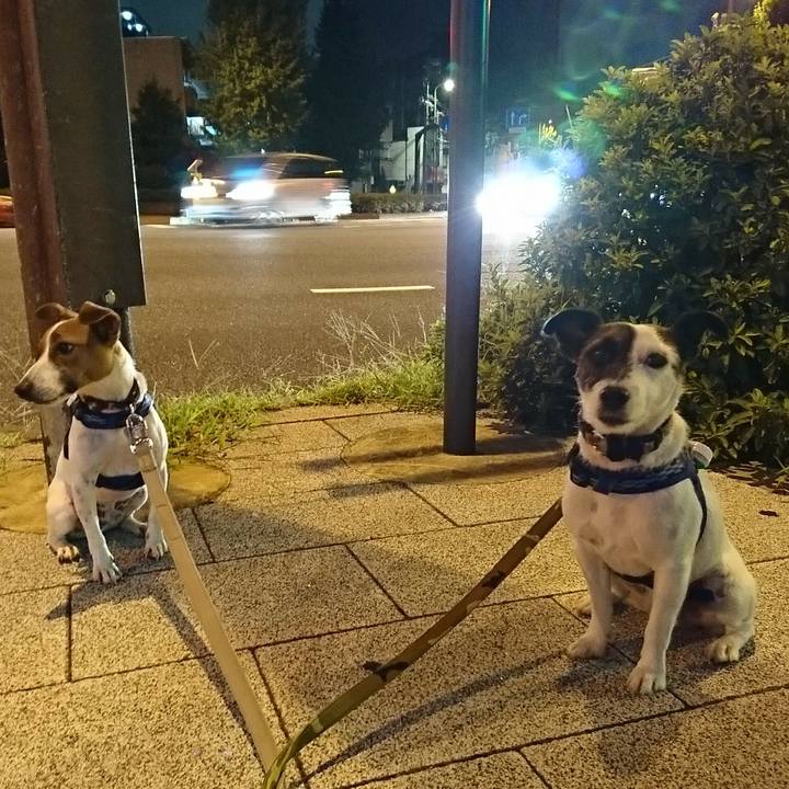 52a2d58b d466 4310 b3f5 70dac484c3f3 1534419248182