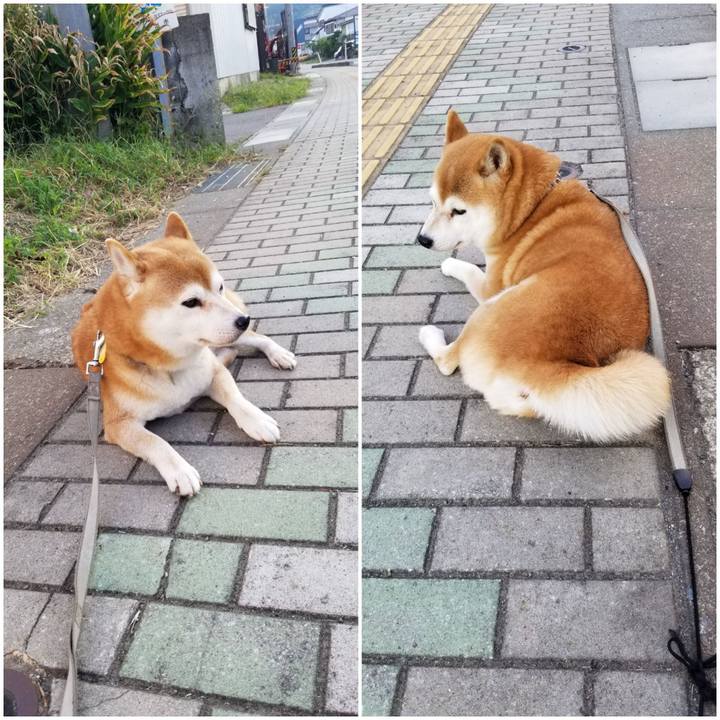 52a2e49f 2955 4bc4 aff1 7bdd84f1e6be 1569829594062