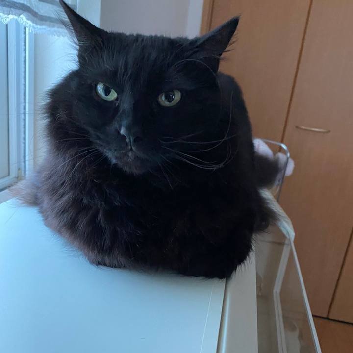 52a2f867 20c7 4e7d bda6 b94dfb571ace 1611793554076