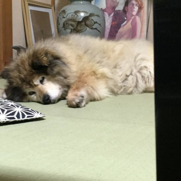 52a31951 cddb 45e8 9ac5 61aebb5c1ec0 1610407724113