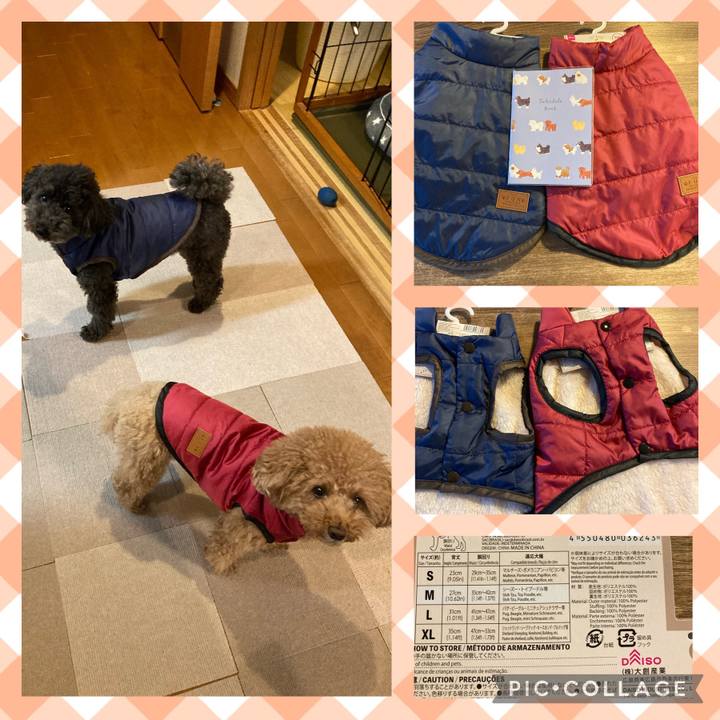 52a34719 5f4b 4655 bb26 0672d0048639 1636524022896