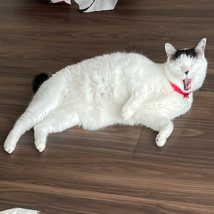 52a35031 77ef 4259 b58c c04bb45a9427 1610260676164