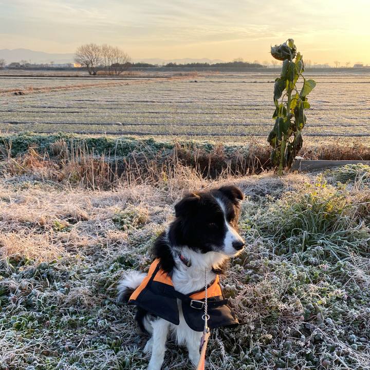 52a38e06 89be 4f8b 9450 eb6b651e7cb1 1608942677536