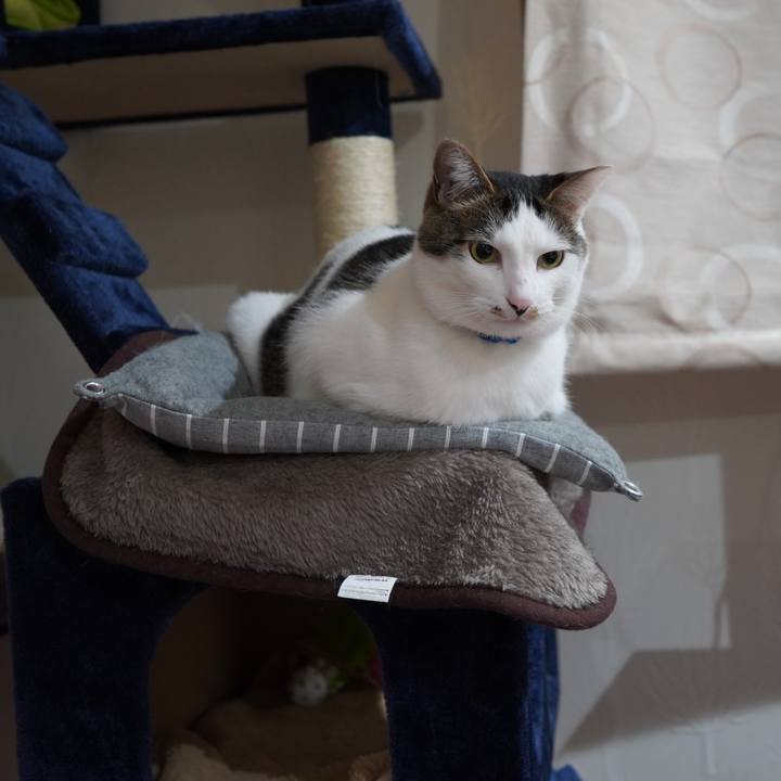 52a39f89 5a75 437b 96a3 2698756fd00d 1583188563676