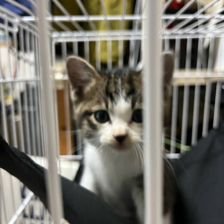 52a3aad2 63fa 46b8 add9 26867ae9bce8 1764154613156