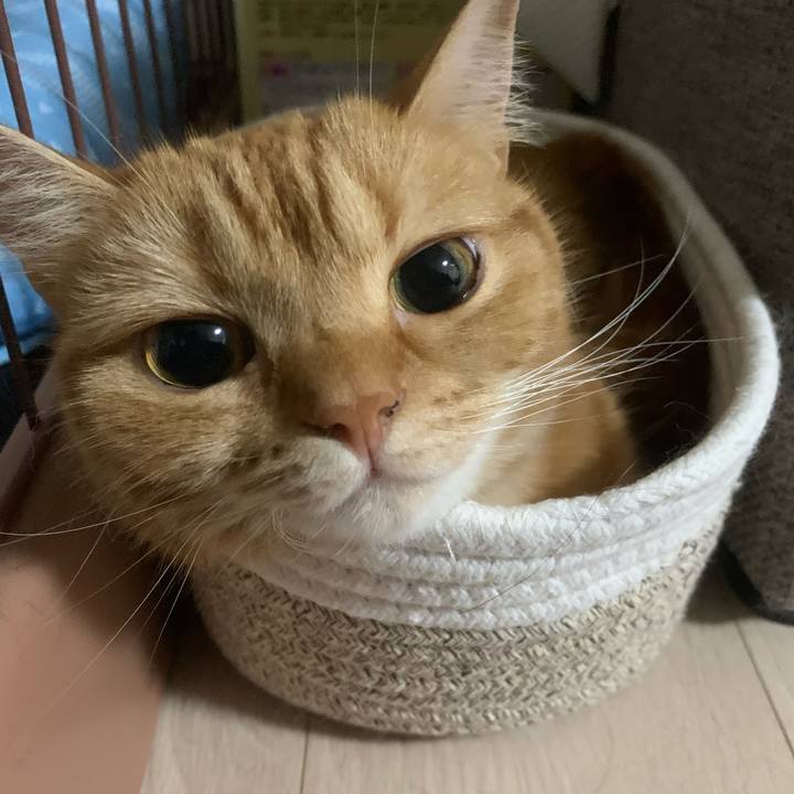 52a3b8e0 f36c 4894 b995 63ac34ad43ea 1624317659962