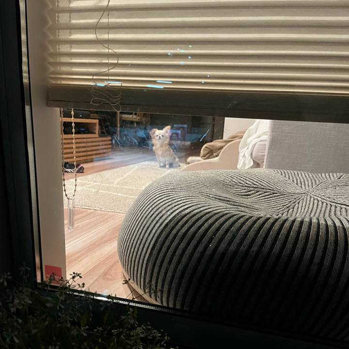 52a3c8fd 2358 409c afcd 1ebe9ed64a12 1733914056237