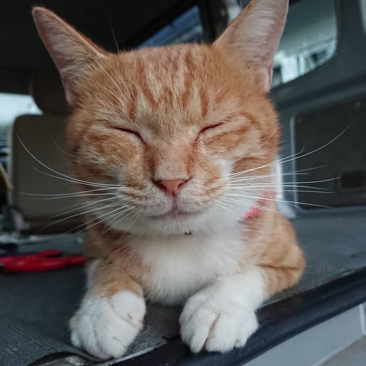 52a3cae8 8799 41c1 ad37 ad104e532d61 1568711359828