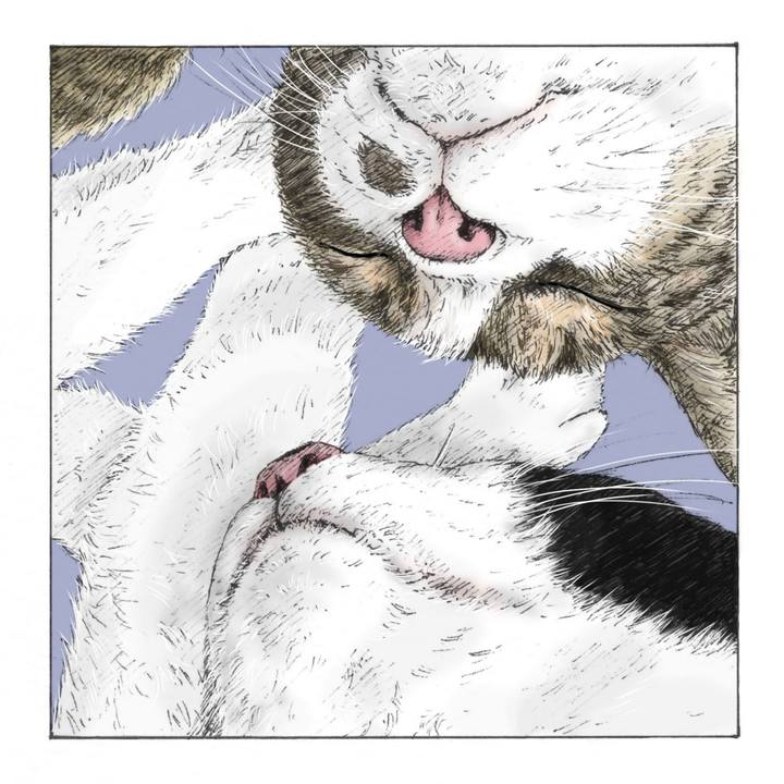 52a3cf4e 0ed3 48f9 8cc0 df8652c6e3de 1578494637487