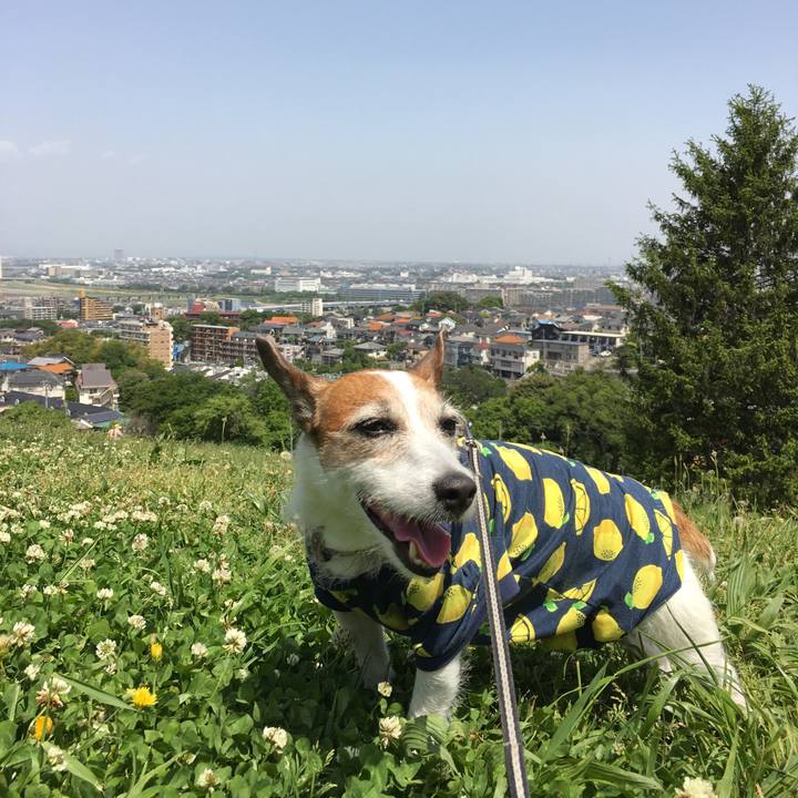 52a3e535 e2ee 4760 857f 4fcd640f6cad 1620602974565