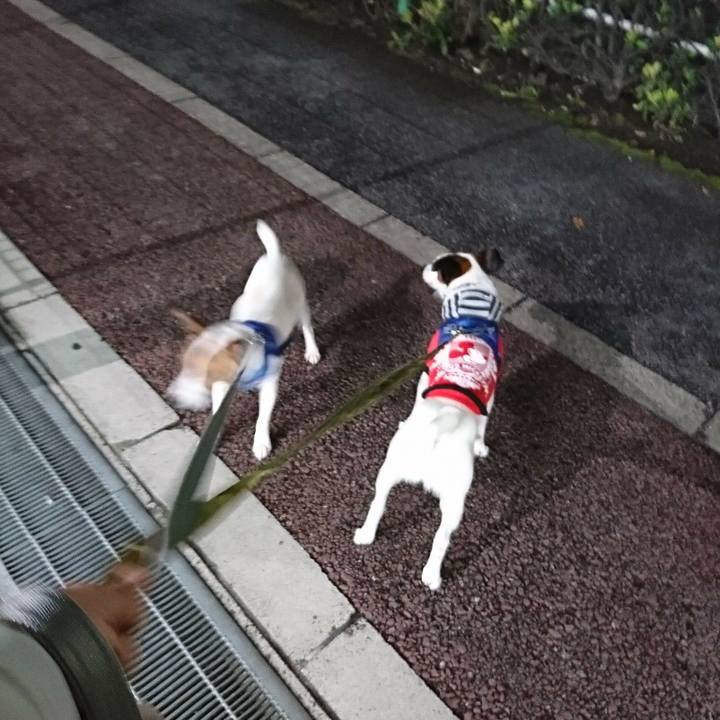 52a3f61c 60d9 482c af2a f04082ad33cf 1524048997969