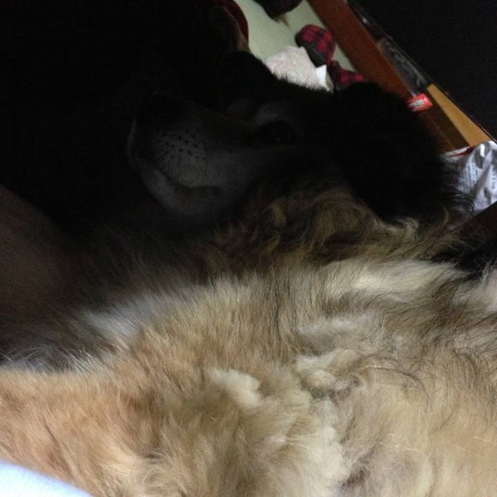 52a418a8 b719 4770 9510 0b0a22101356 1602715599517