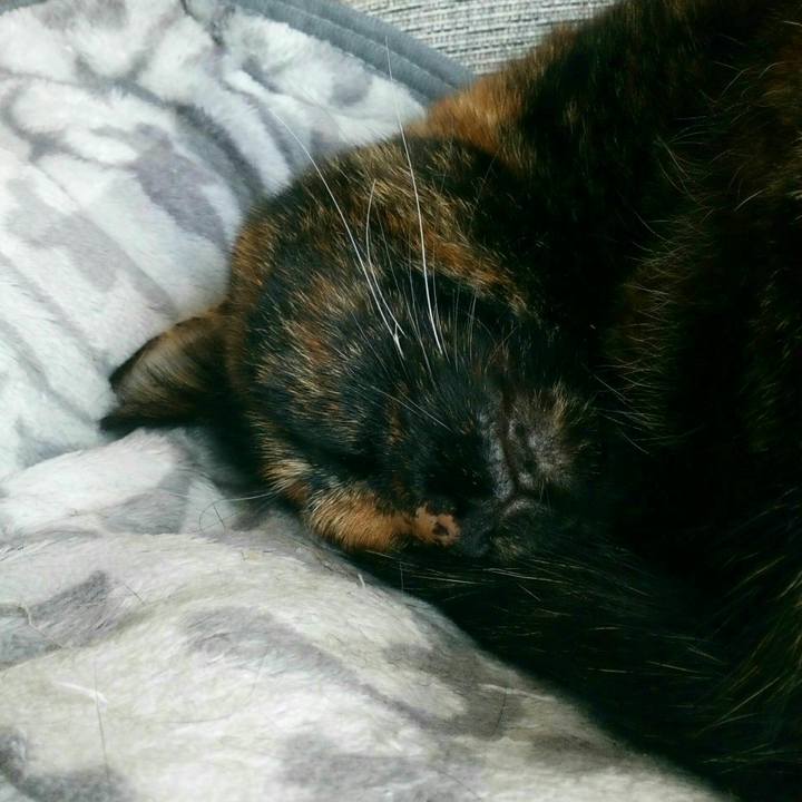 52a42e4d 1d05 4a07 a887 c082d8efba10 1555663396381