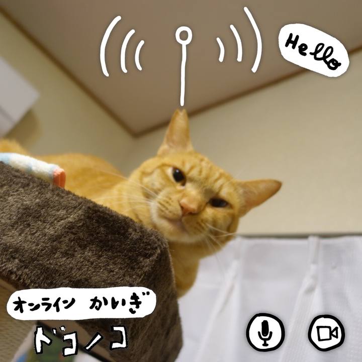 52a46922 80dd 4984 beda 8b0f2470f08e 1590699214353