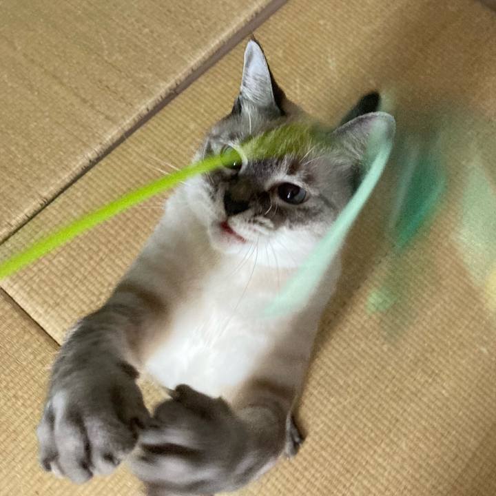 52a46c67 31c0 4b29 ad49 4bfc5ab946d7 1599693838718