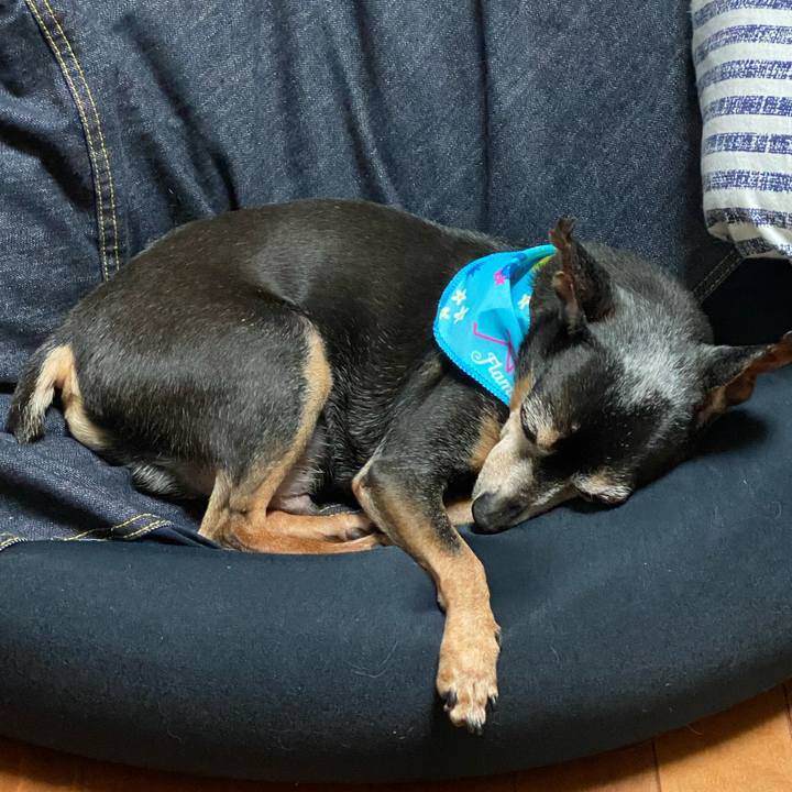 52a4c624 57f9 4838 95f7 48a9867cbb99 1595427901852