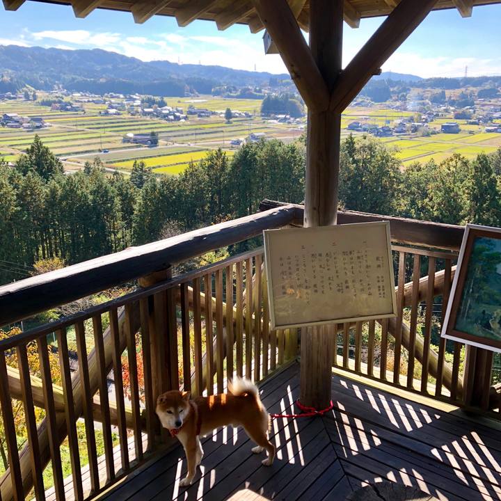 52a4c88a a05d 4bae 8681 99115eb7592d 1541150026819