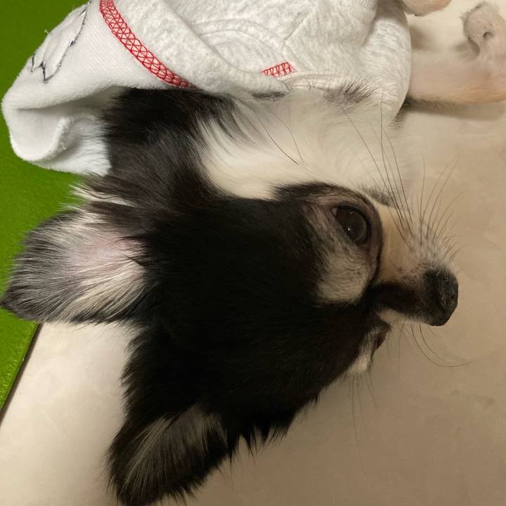 52a4e82e 08d6 45db 99c7 2de8a49c21ab 1646574618513