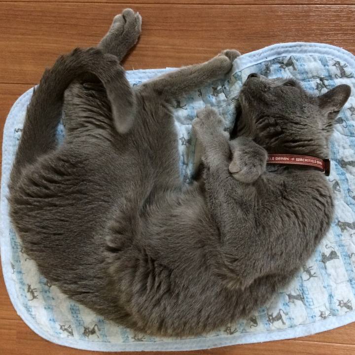 52a4fd16 a9e5 427b 8c34 92a1d4653374 1511173458538