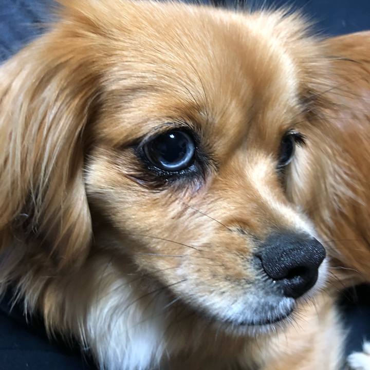 52a5361b faf7 4cb0 b654 e75f2bdf61e9 1525953115606