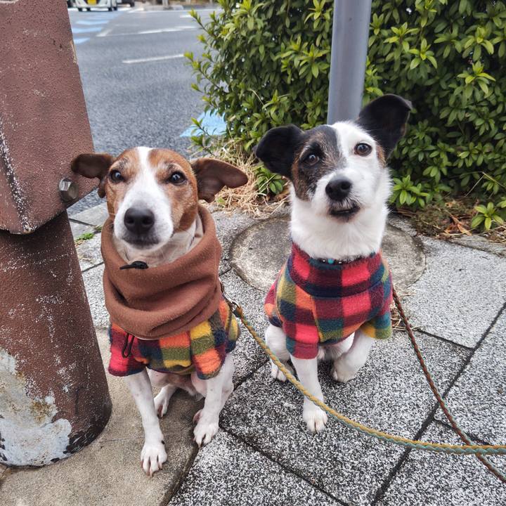 52a55657 f6d9 489b 8c00 b30b8fce45cb 1741211695741