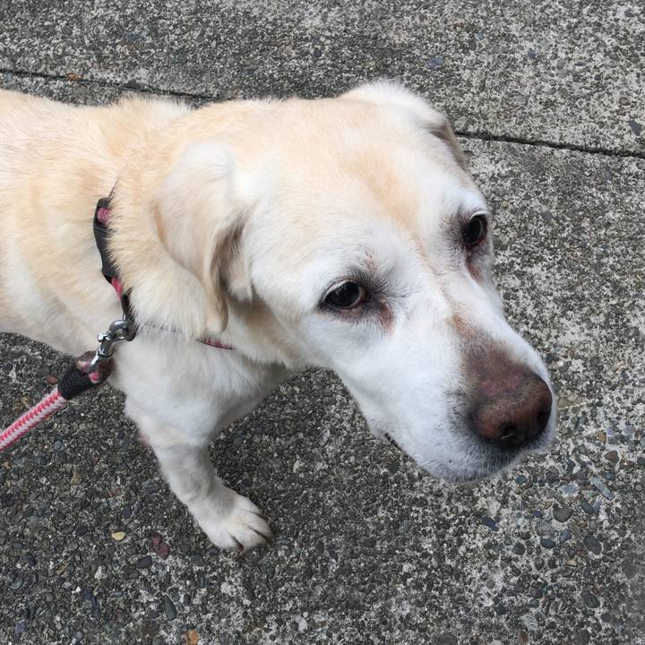 52a57fae ef5a 4dd2 882e 133f0f4f45b3 1528250043042