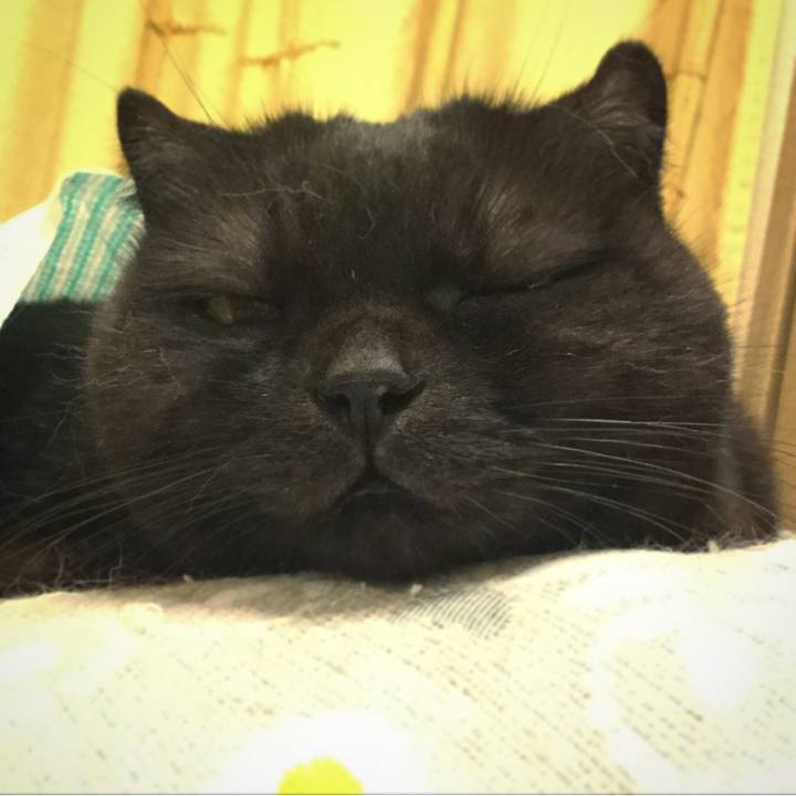 52a59ddf 5c21 431a 9546 7b25b6974fa7 1508001396295