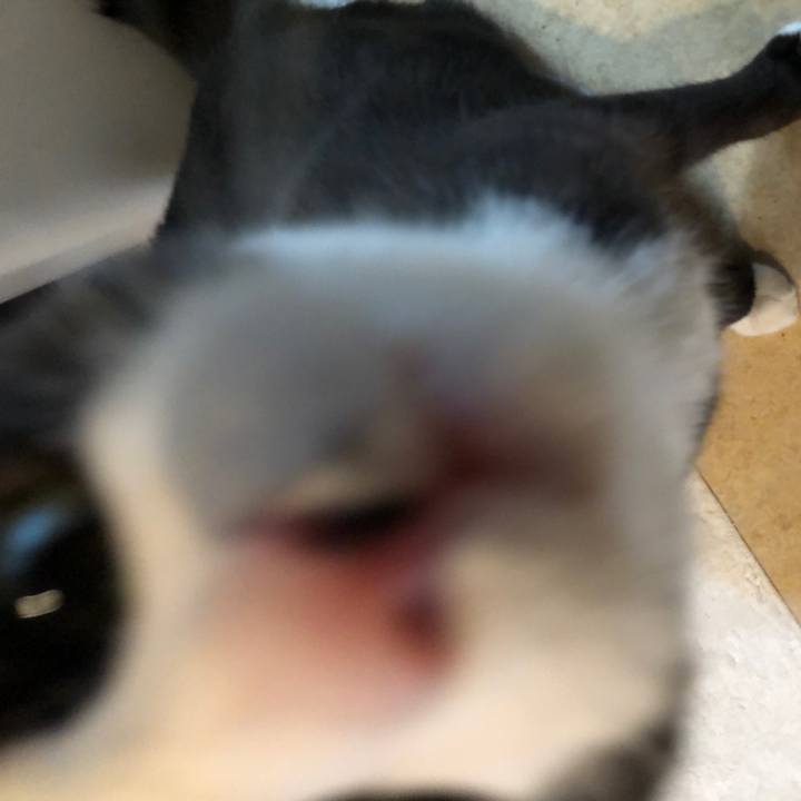 52a5cd90 a181 4ae9 9624 06be192bcbec 1554810320243