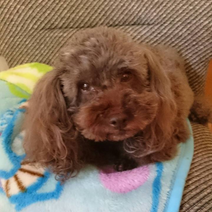 52a5ed52 94e8 4ce3 9c4a 22dfc358f301 1509617974512