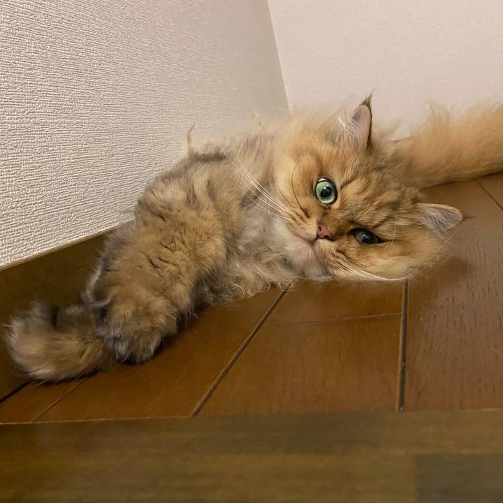 52a5fa25 6a57 4bb6 bb34 a8823cef59ba 1623414011602